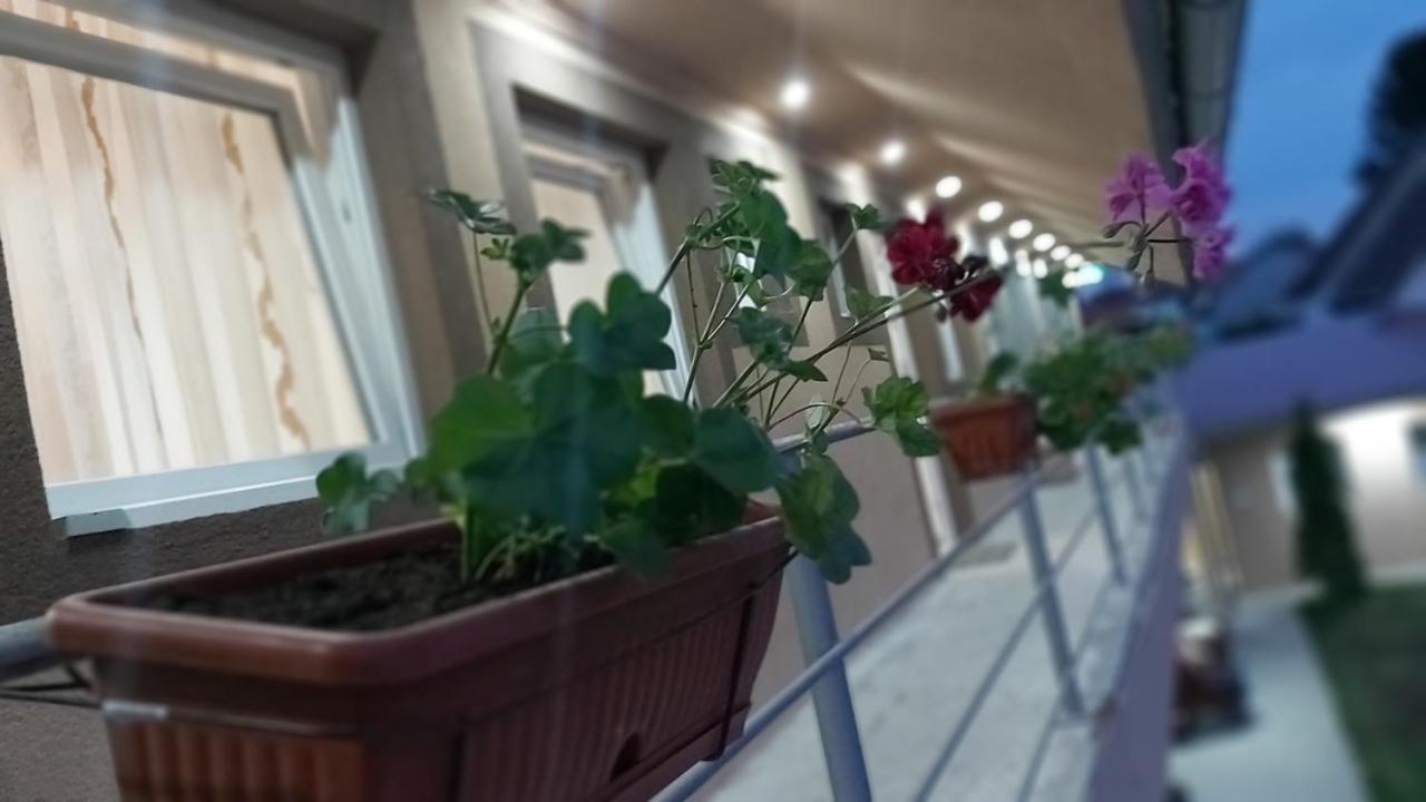 Rooms Stefan Subotica Zewnętrze zdjęcie
