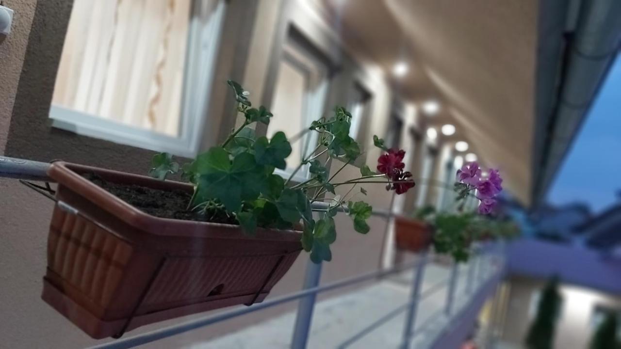 Rooms Stefan Subotica Zewnętrze zdjęcie